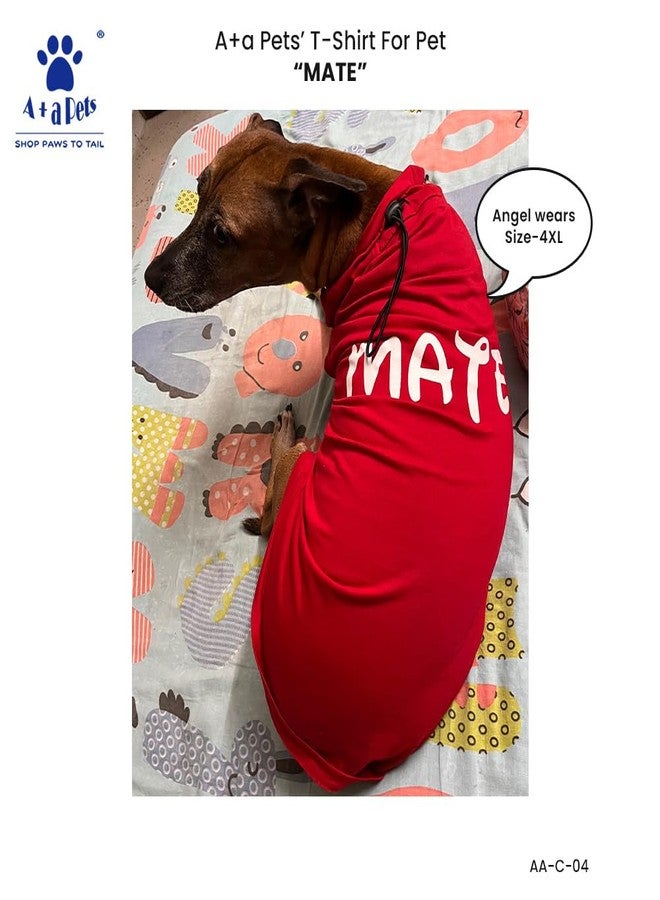 A+a Pets' Graphic Printed Premium T-Shirt for Human(Unisex) 'Soul' & Pets(Dog & Cat) 'Mate' | Half Sleeve Round Neck | Light Weight Costumes | Cotton (Human - M, Pet - 5XL, BrownH & RedP) - Image 4